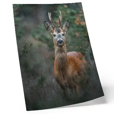 Decoratieve poster hert in het bos met een groene achtergrond voor een rustgevend natuurlijk effect