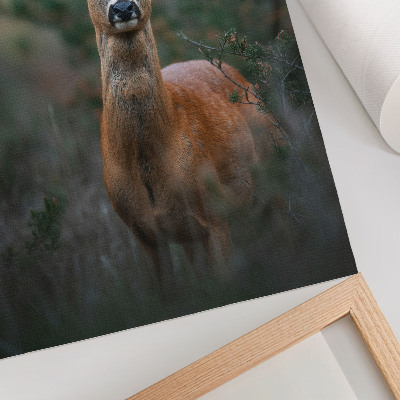 Decoratieve poster Hert in het bos, groene achtergrond, rust, natuur