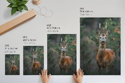 Decoratieve poster Hert in het bos, groene achtergrond, rust, natuur