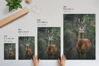 Decoratieve poster hert in het bos met een groene achtergrond voor een rustgevend natuurlijk effect