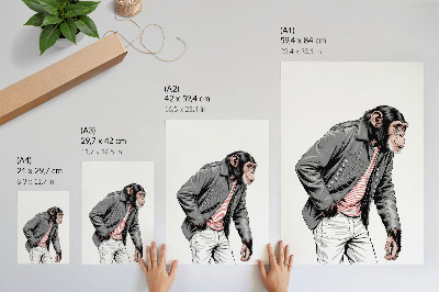 Poster Stijlvolle chimpansee in een jasje met contrasterende print.