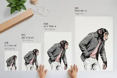 Poster stijlvolle chimpansee in een jasje met een contrasterende print