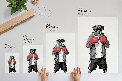 Decoratieve poster Bokshandschoenen voor boxerhonden in sportieve stijl