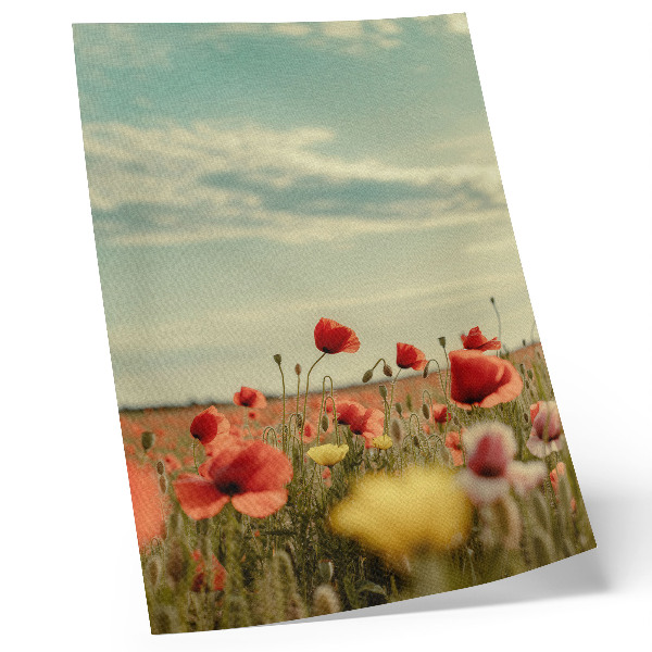 Decoratieve poster Een veld vol klaprozen onder een blauwe hemel, pastelkleurige elegantie.