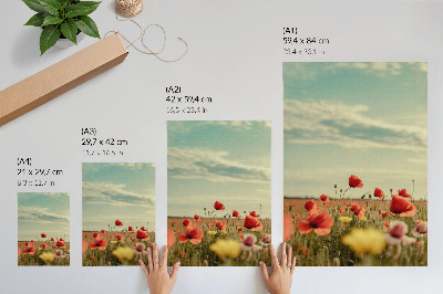 Decoratieve poster Een veld vol klaprozen onder een blauwe hemel, pastelkleurige elegantie.