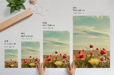 Decoratieve poster met een veld vol klaprozen onder een blauwe hemel in pastelkleurige elegantie