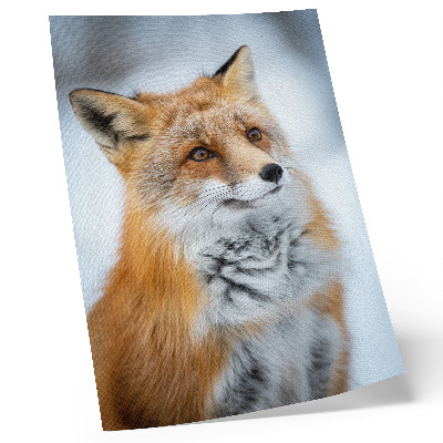 Wandposter Portret van een vrolijke vos in een winterse omgeving.