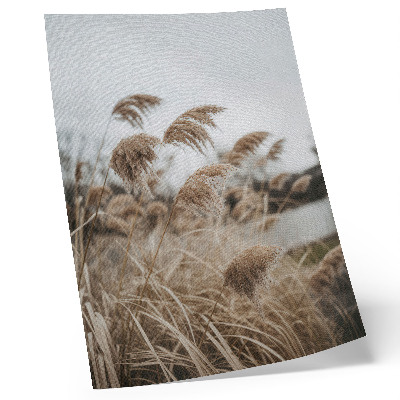 Wandposter Fijne grassprietjes, bruingrijs, een natuurlijke sfeer.