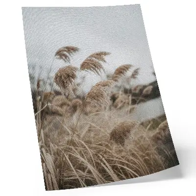Wandposter fijne grassprietjes in een bruingrijze tint voor een natuurlijke sfeer