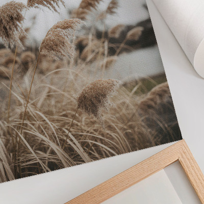 Wandposter Fijne grassprietjes, bruingrijs, een natuurlijke sfeer.