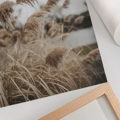 Wandposter fijne grassprietjes in een bruingrijze tint voor een natuurlijke sfeer