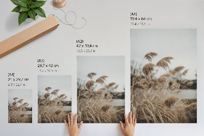 Wandposter Fijne grassprietjes, bruingrijs, een natuurlijke sfeer.