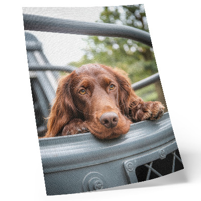 Poster Bruine hond bij het voertuig, groene bomen
