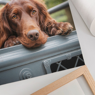 Poster Bruine hond bij het voertuig, groene bomen