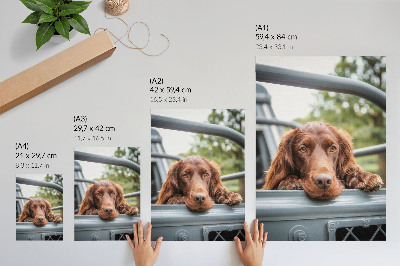 Poster Bruine hond bij het voertuig, groene bomen