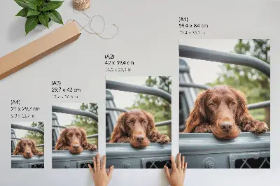 Poster bruine hond bij het voertuig met groene bomen
