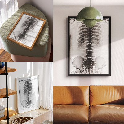 Decoratieve poster Skelet in zwart-wit