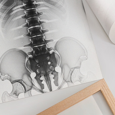 Decoratieve poster Skelet in zwart-wit