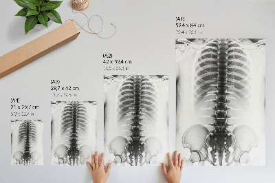 Decoratieve poster Skelet in zwart-wit
