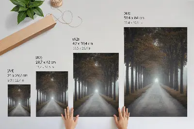 Poster herfstmist in een steegje met een symmetrische en harmonieuze compositie