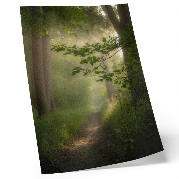 Decoratieve poster Groene bladeren, een zonnestraal, een bospad