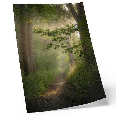 Decoratieve poster Groene bladeren, een zonnestraal, een bospad