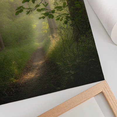 Decoratieve poster Groene bladeren, een zonnestraal, een bospad