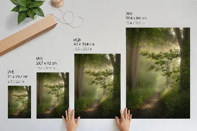 Decoratieve poster met groene bladeren een zonnestraal en een bospad