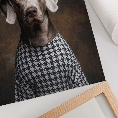 Decoratieve poster Hond in een vest met baretpatroon, elegant