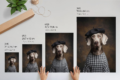 Decoratieve poster Hond in een vest met baretpatroon, elegant