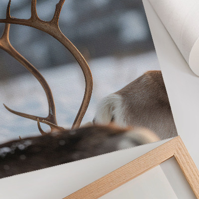 Wandposter Rendieren met gewei, harmonie in het winterlandschap
