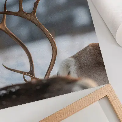 Wandposter rendieren met gewei in een harmonieus winterlandschap