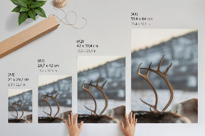 Wandposter Rendieren met gewei, harmonie in het winterlandschap