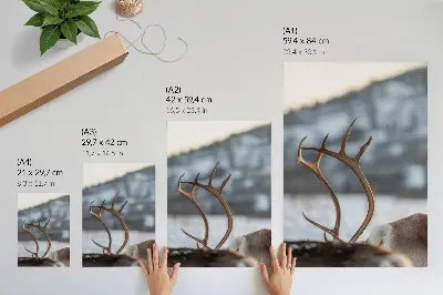 Wandposter rendieren met gewei in een harmonieus winterlandschap