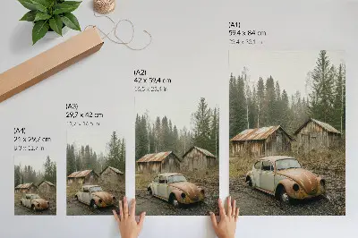 Decoratieve poster roestige auto bij een houten schuur in een groen bos