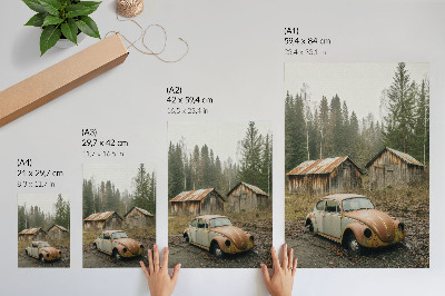 Decoratieve poster Roestige auto, houten schuur, groen bos
