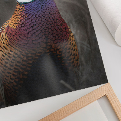 Decoratieve poster Kleurrijke fazantenveren, intense kleuren, vrede