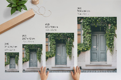 Decoratieve poster Groene wijnranken, grijze deuren, een harmonieuze compositie
