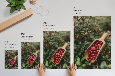 Wandposter Levendige kleuren van bladeren en fruit in een houten schep.