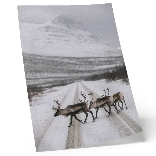 Decoratieve poster rendieren op een besneeuwde weg tussen de bergen met een winterse achtergrond