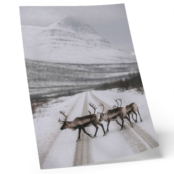 Decoratieve poster Rendieren op een besneeuwde weg tussen de bergen, winterse achtergrond