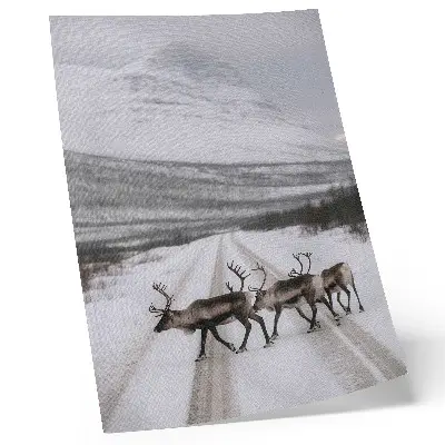 Decoratieve poster rendieren op een besneeuwde weg tussen de bergen met een winterse achtergrond