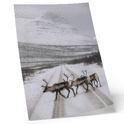 Decoratieve poster Rendieren op een besneeuwde weg tussen de bergen, winterse achtergrond