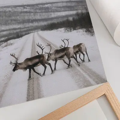 Decoratieve poster rendieren op een besneeuwde weg tussen de bergen met een winterse achtergrond