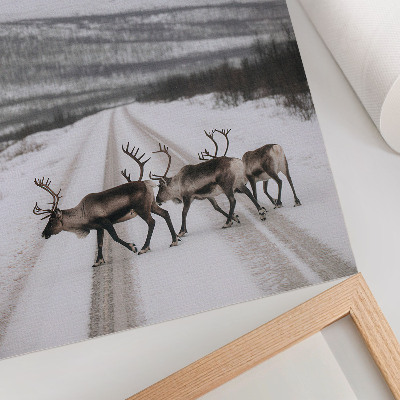 Decoratieve poster Rendieren op een besneeuwde weg tussen de bergen, winterse achtergrond