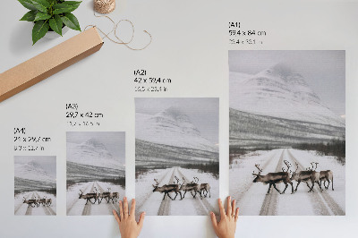 Decoratieve poster Rendieren op een besneeuwde weg tussen de bergen, winterse achtergrond