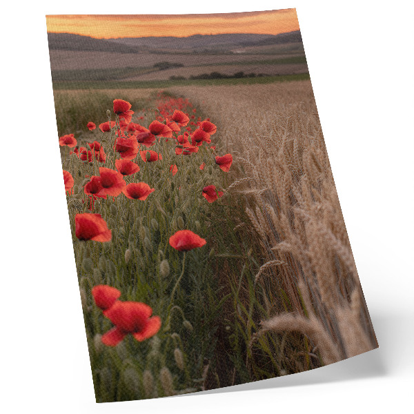 Decoratieve poster Klaprozen zonsondergang natuur kleuren harmonie