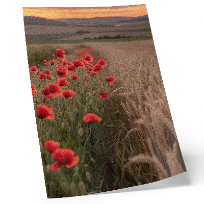 Decoratieve poster Klaprozen zonsondergang natuur kleuren harmonie