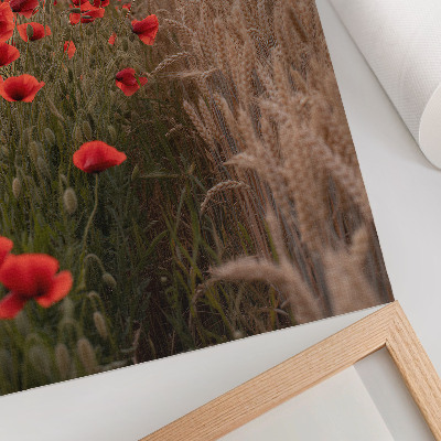 Decoratieve poster Klaprozen zonsondergang natuur kleuren harmonie