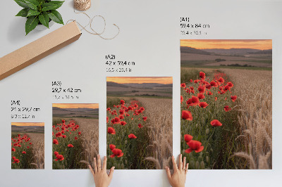 Decoratieve poster Klaprozen zonsondergang natuur kleuren harmonie